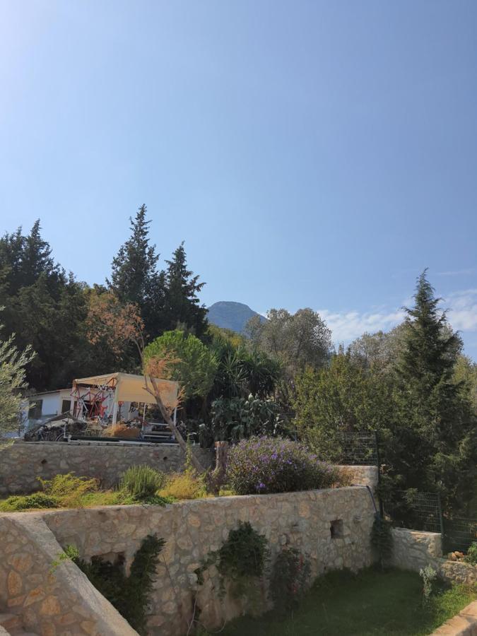 Artolive Datca Bagian luar foto