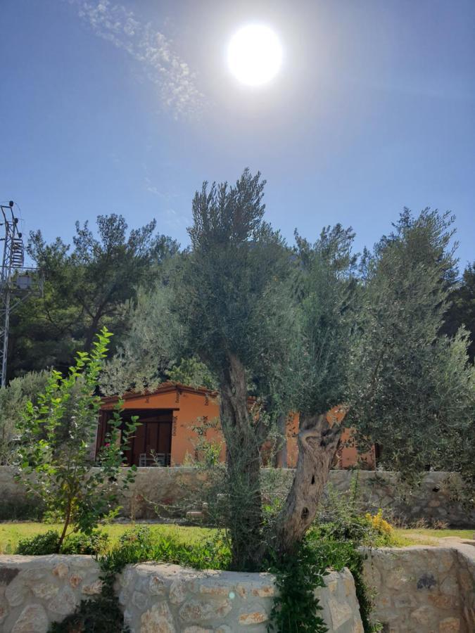 Artolive Datca Bagian luar foto
