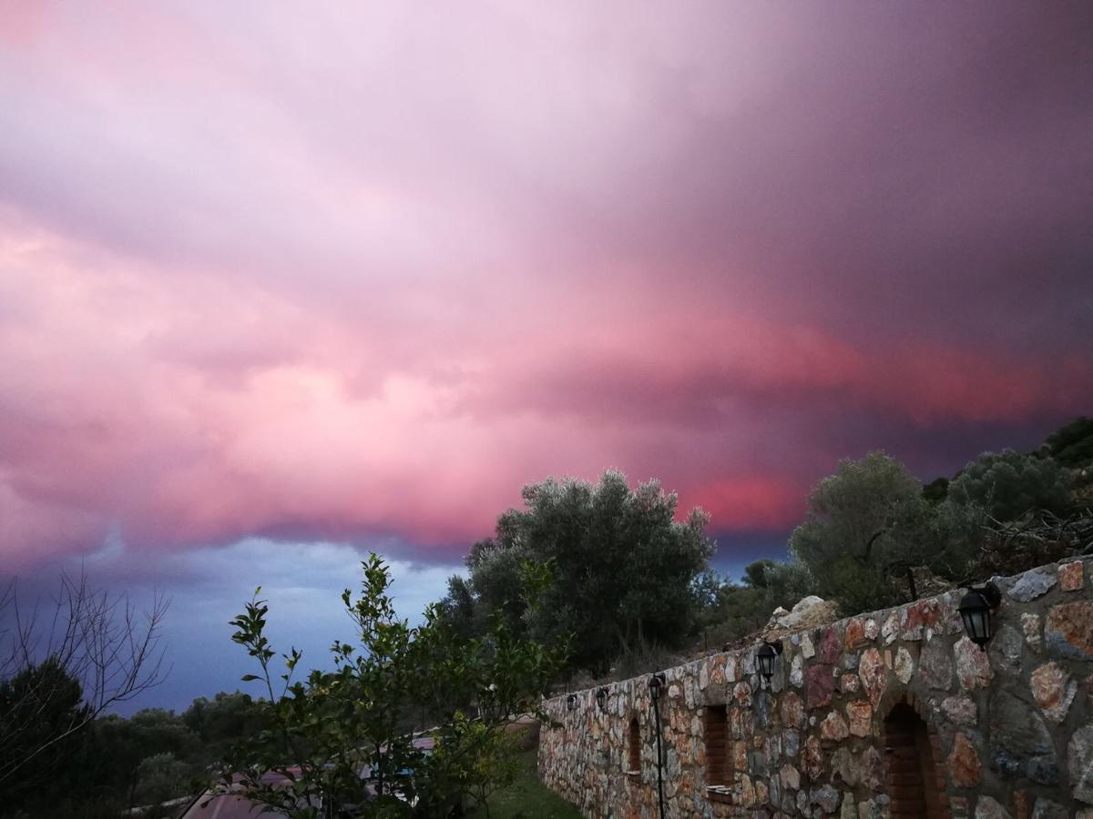 Artolive Datca Bagian luar foto