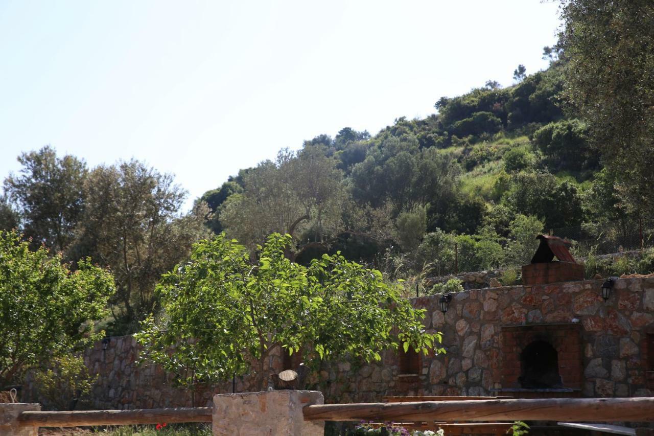 Artolive Datca Bagian luar foto