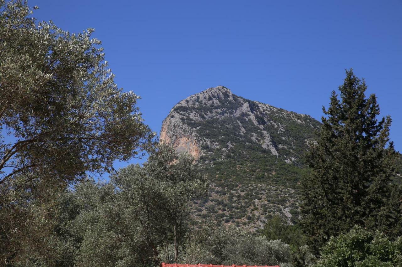 Artolive Datca Bagian luar foto