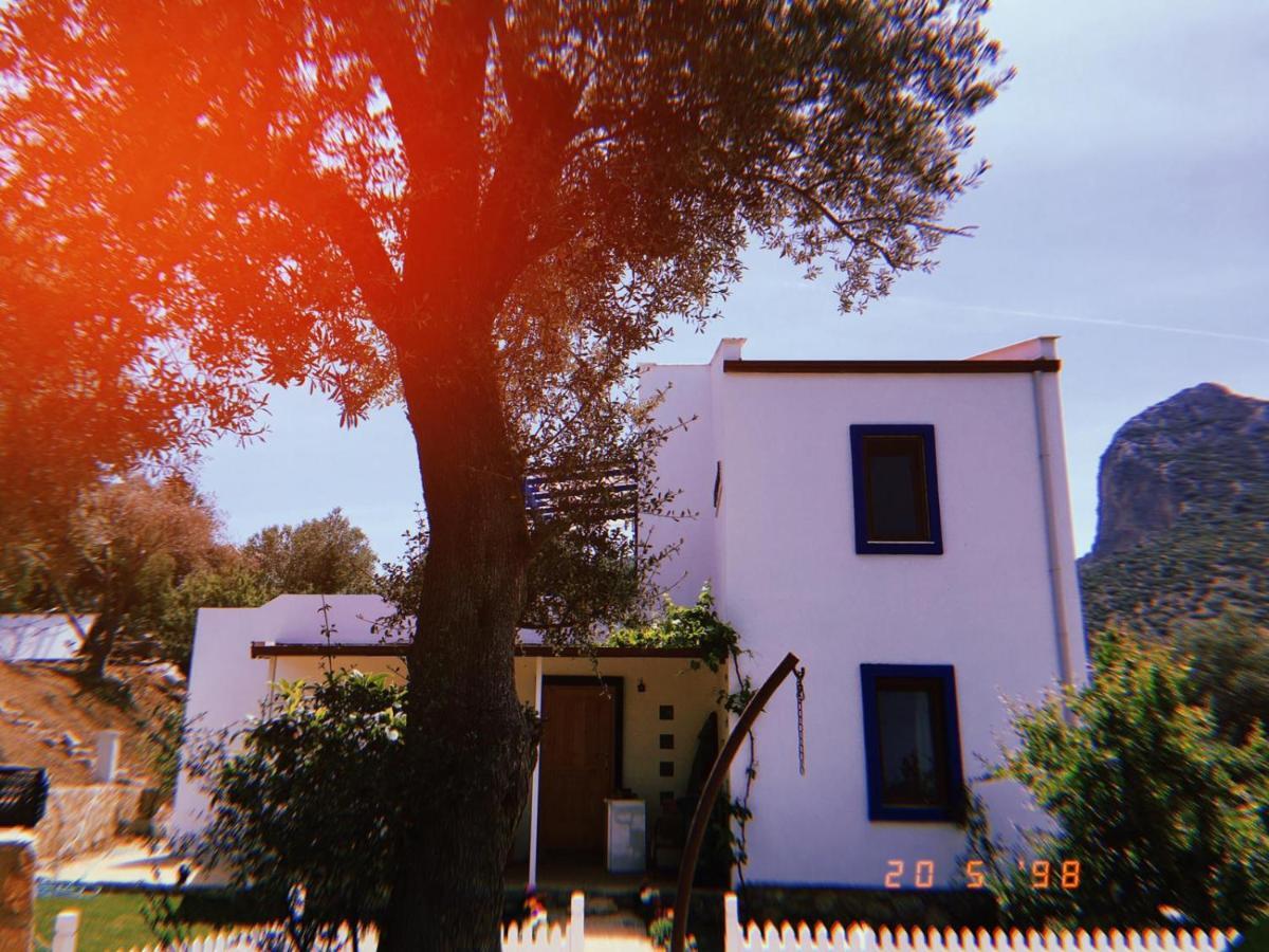 Artolive Datca Bagian luar foto
