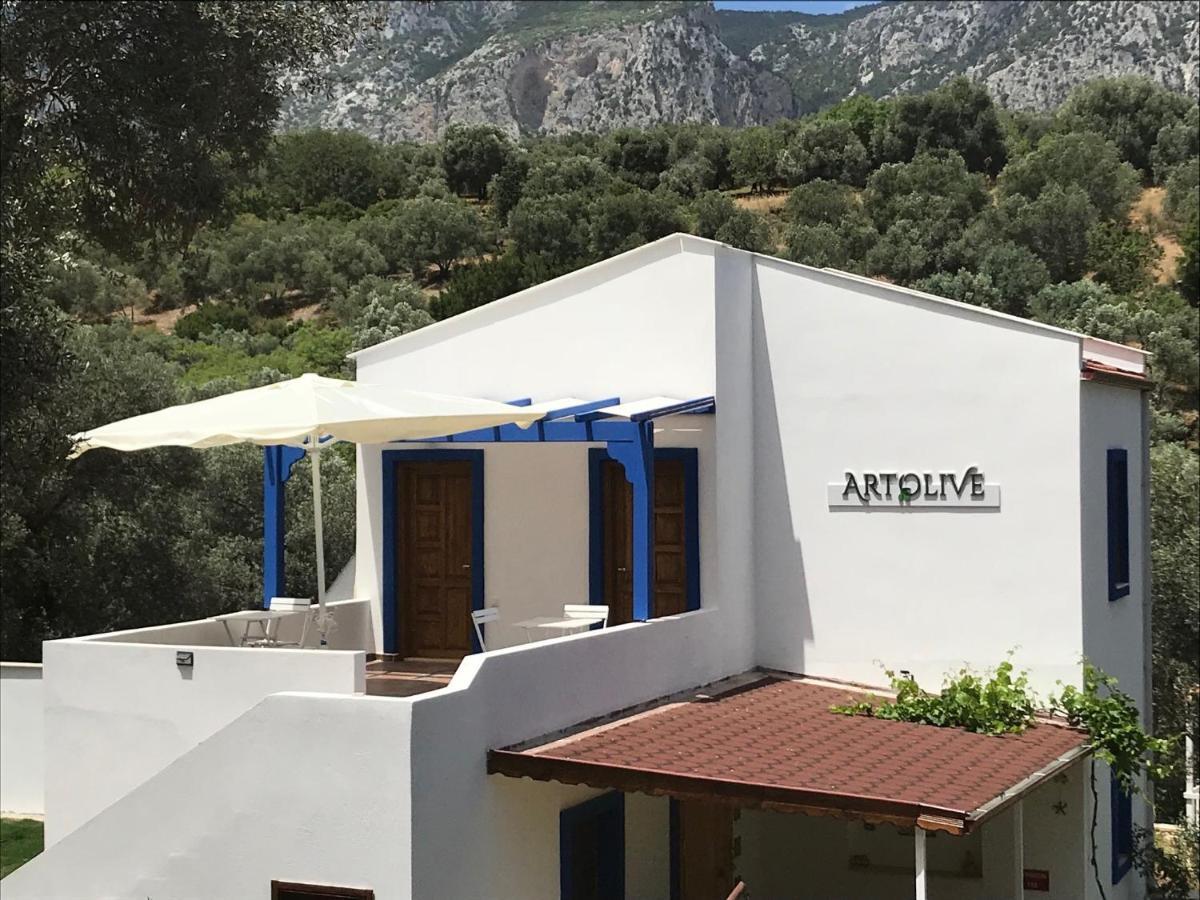 Artolive Datca Bagian luar foto